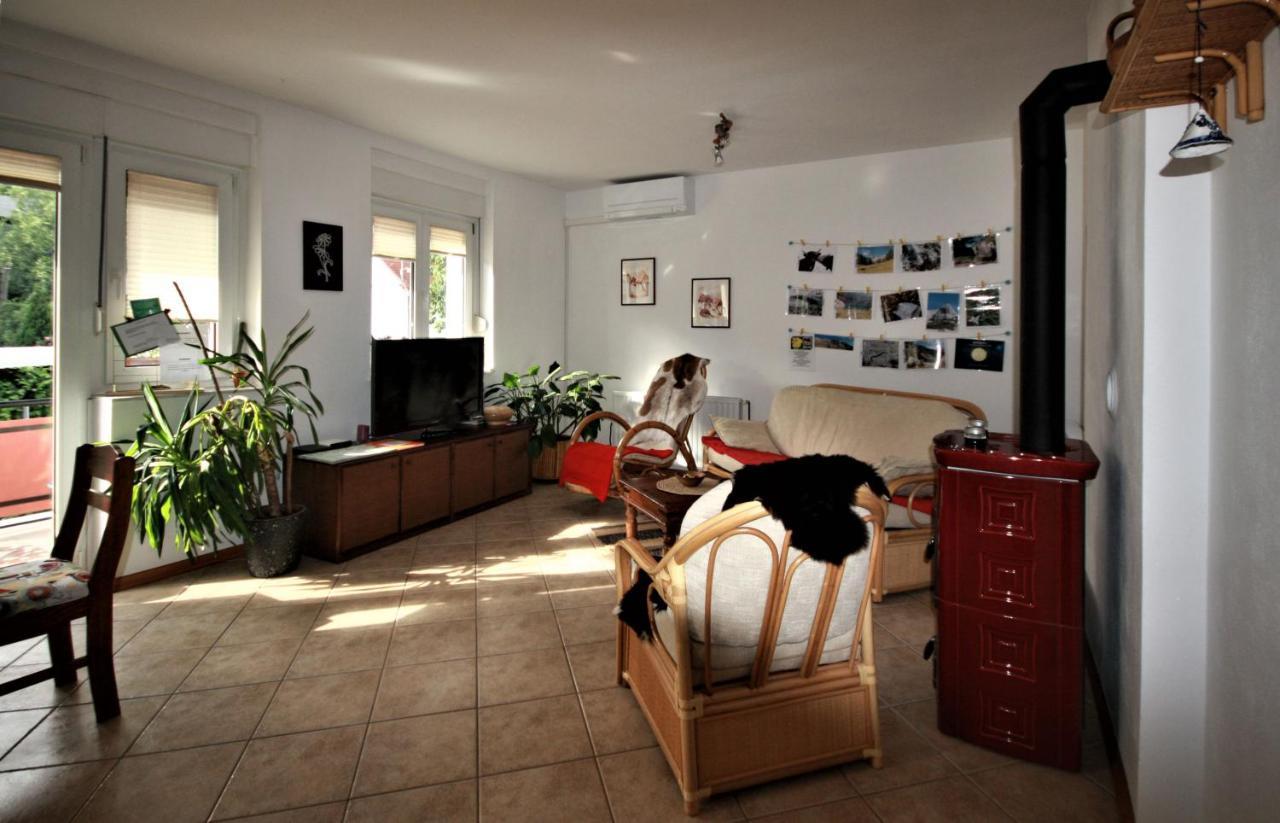 Apartmán Apartma Pr' Cinku Bovec Exteriér fotografie